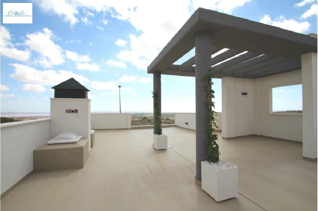 villa en Dehesa de Campoamor en venta, superficie 168 m², estado first owner, parcela 500 m², 3 dormitorios, 2 banos, piscina, ref.: HA-DCN-100-E10-4