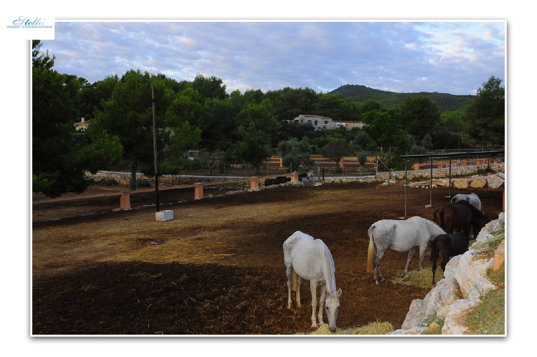 villa en Javea en venta, superficie 420 m², aire acondicionado, parcela 18000 m², 5 dormitorios, 3 banos, piscina, ref.: PR-PPS1295-20