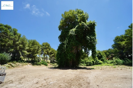 Wohngrundstueck-in-Moraira-zu-verkaufen-CA-G-1633-AMB-1.webp