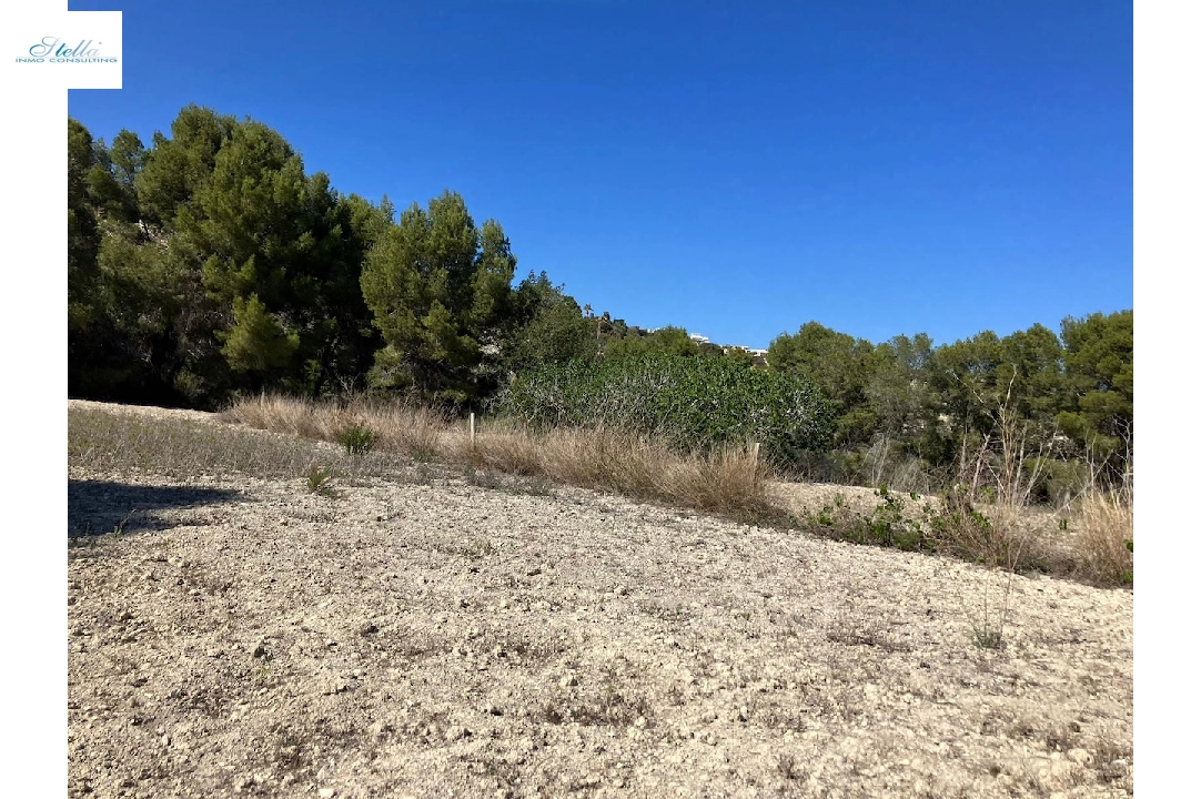 terreno en Benissa(Benissa) en venta, parcela 10894 m², ref.: CA-G-1771-AMB-9