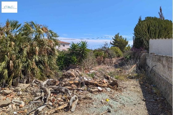 residential-ground-in-Denia-Corral-de-Calafat-for-sale-BP-8191DEN-2.webp