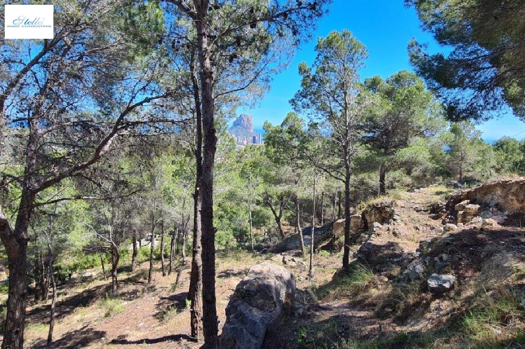 terreno en Calpe en venta, aire acondicionado, parcela 2500 m², piscina, ref.: AM-11750DA-5