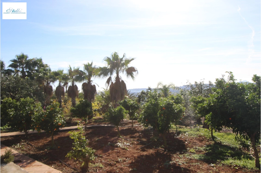 finca en Benissa(Canor) en venta, superficie 960 m², parcela 15000 m², 15 dormitorios, 14 banos, piscina, ref.: COB-3322-10535-48